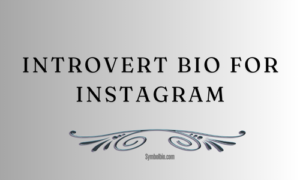 Introvert Bio For Instagram