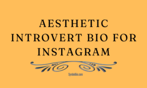 Aesthetic Introvert Bio For Instagram