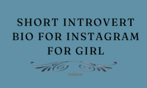 Short Introvert Bio For Instagram For Girl