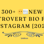 300+ 😶‍🌫New Introvert Bio For Instagram [2024]