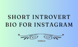 Short Introvert Bio For Instagram