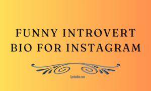 Funny Introvert Bio For Instagram