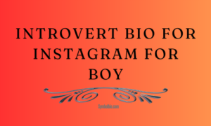 Introvert Bio For Instagram For Boy