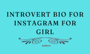 Introvert Bio For Instagram For Girl