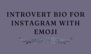 Introvert Bio For Instagram With Emoji