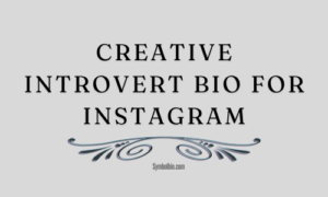 Creative Introvert Bio For Instagram