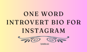 One Word Introvert Bio For Instagram