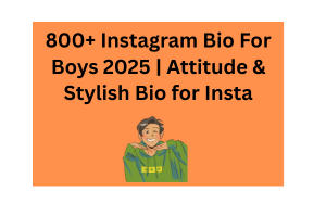 800+ Instagram Bio For Boys 2025 | Attitude & Stylish Bio for Insta
